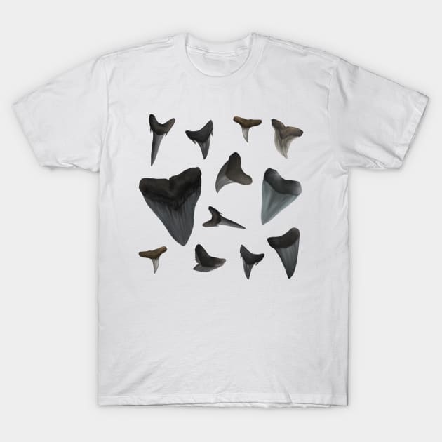 Assorted Shark Teeth T-Shirt by Reeseworks